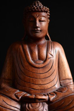 Buda portre koyu arka plan