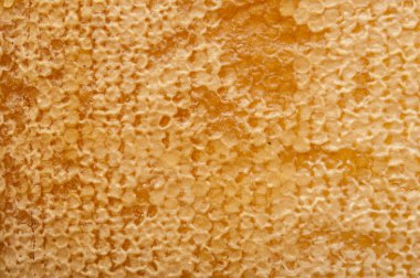 gele mooie honingraat met honing, achtergrond