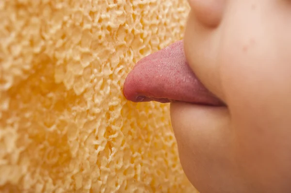 Young boy try to test honey from honey comb — Stock Photo, Image
