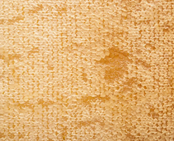Yellow beautiful honeycomb with honey, background — Stock Photo, Image