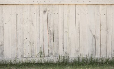 Ahşap arka planda taze yeşil çimen