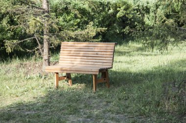 Parktaki ahşap park bankında.