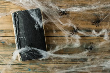 Eski kitapları ve ahşap duvarın üzerindeki örümcek ağını ört. Cadılar Bayramı süslemelerinin yakın görüntüsü.