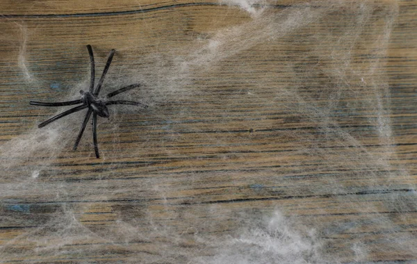 Cobweb Spider Web Wooden Texture Background Wall — Stock Photo, Image