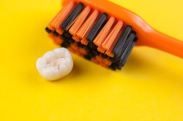 Escova Dentes Leite Decíduo Dentes Criança Fundo Amarelo — Fotografia de Stock