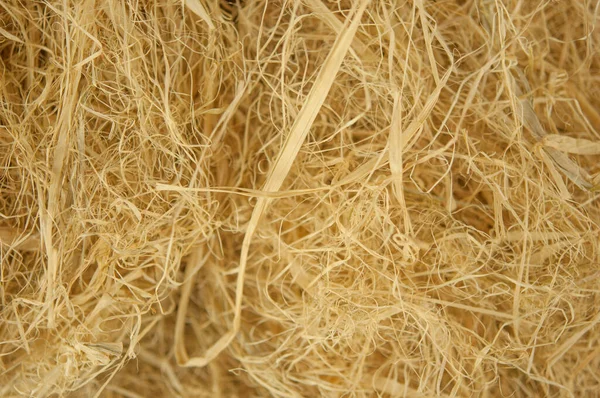 Dry Yellow Straw Grass Background Texture Havest — Stock Photo, Image