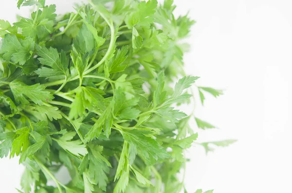 Frischer Bund Grüne Petersilie Auf Weißem Hintergrund Draufsicht Flache Lage — Stockfoto