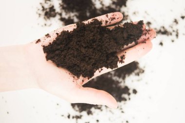 Tarıma elverişli toprak yığını tutan çiftçi. Kadın tarım uzmanı verimli tarım arazilerinin kalitesini inceliyor. Bitkilerin büyümesini hızlandırmak için gübre olarak kullanılabilir. Kirli eller beyaz arkaplanda.