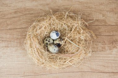 Mutfak masasında bıldırcın yumurtaları olan bir yuva. Paskalya tatili. Metin ve başlığı yapıştırmak için yer