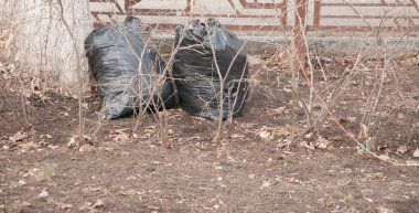 Sonbahar yapraklarıyla dolu siyah plastik torbalar. Şehir sokaklarının yapraklarından mevsimsel olarak temizlenmesi. Dünyayı çürümüş yapraklardan temizliyorum. Bahar mevsimi, yapraklar. Temizlik servisi