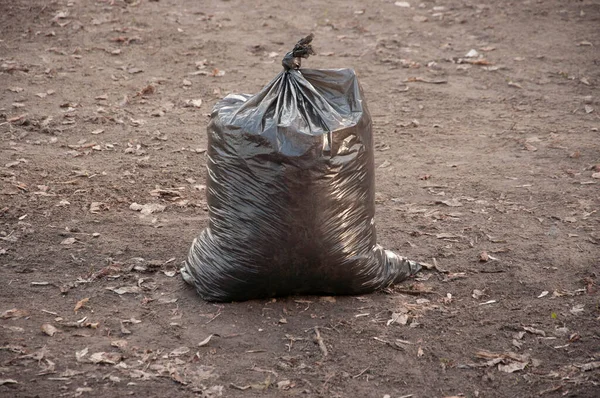 Sacchetti Plastica Neri Pieni Foglie Autunnali Pulizia Stagionale Strade Città — Foto Stock