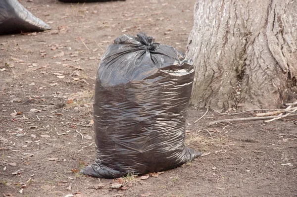 装满秋天叶子的黑色垃圾袋 季节性地清理城市街道上的落叶 清除地上腐烂的叶子 清洁服务 — 图库照片