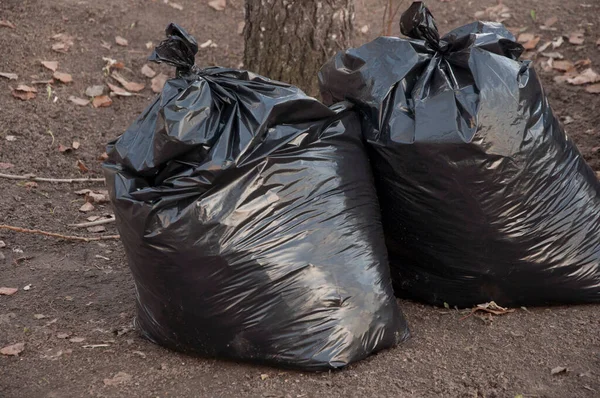 Black Trash Plastic Bags Full Autumn Leaves Seasonal Cleaning City — Stock Photo, Image