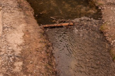 Modern bahçe ve peyzaj: Çakıl plajlı yeniden ekilmiş şehir parkı