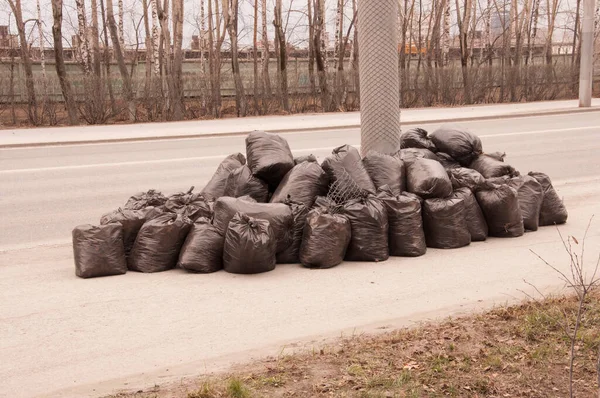 Sacchetti Plastica Neri Pieni Foglie Autunnali Pulizia Stagionale Strade Città — Foto Stock