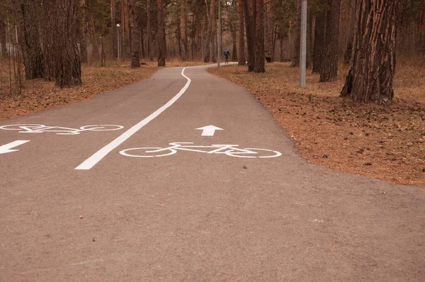 Cykelväg Parken Hälsosam Livsstil Cykelspår — Stockfoto