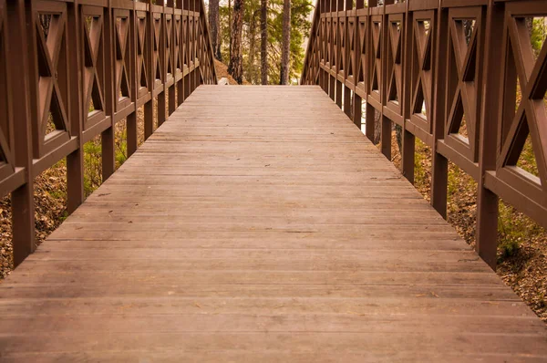Παλιά Ξύλινη Γέφυρα Σκαλοπάτια Στο Δάσος Σκάλα Στο Δάσος Γέφυρα — Φωτογραφία Αρχείου