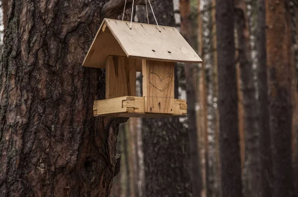 秋天森林里的木制鸟舍 在城市公园的树上给鸟儿喂食的旧木料 在寒冷季节给鸟儿喂食的空木料 — 图库照片