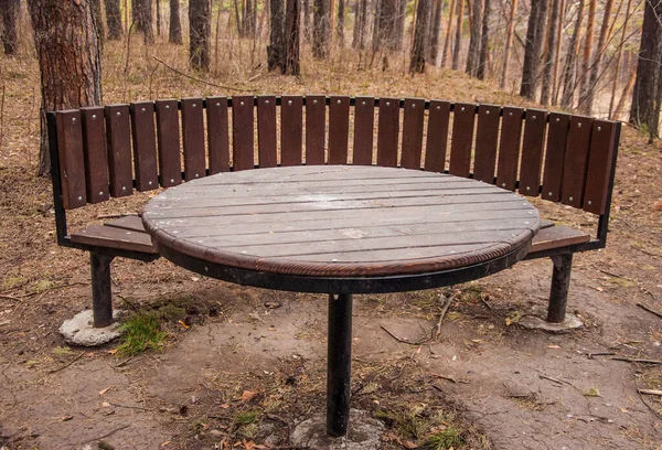 Szoros Kép Egy Rusztikus Régi Piknik Asztal Fenyőfák Üres Parkban — Stock Fotó