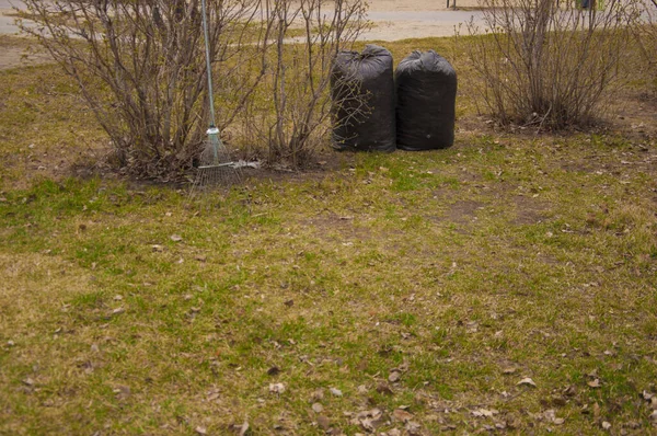 Zwarte Plastic Vuilniszakken Vol Herfstbladeren Seizoensgebonden Schoonmaak Van Straten Van — Stockfoto