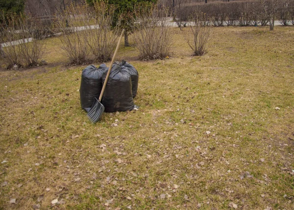 Svarta Papperspåsar Fulla Höstlöv Säsongsrensning Stadsgator Från Fallna Löv Rensa — Stockfoto