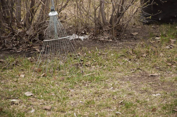 Zwarte Plastic Vuilniszakken Vol Herfstbladeren Seizoensgebonden Schoonmaak Van Straten Van — Stockfoto