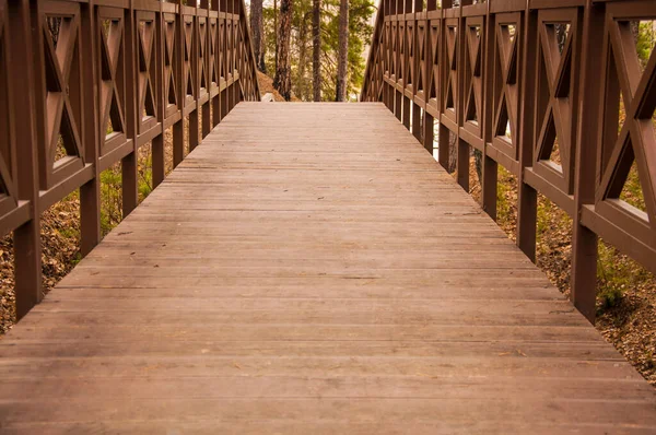 Old Wooden Bridge Stairs Forest Staircase Wood Footbridge Park Adventure Royalty Free Stock Photos