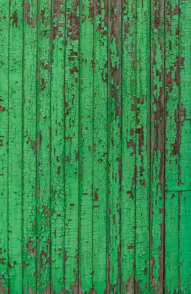 Old Ancient Bright Green Unevenly Painted Vertical Wooden Plank Wall — Stock Photo, Image