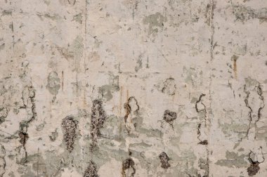 Beton grunge beyaz duvar arkaplanı