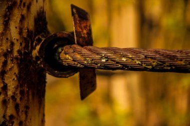 Ormanlık bir alanda güvenlik sınırı oluşturmak için metal bir direğe bağlanmış bir tel sınırının yakın plan görüntüsü.. 
