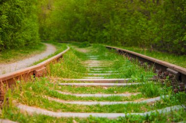 Ormanda paslı rayları olan terk edilmiş bir demiryolu. Ulaşımda kriz kavramı