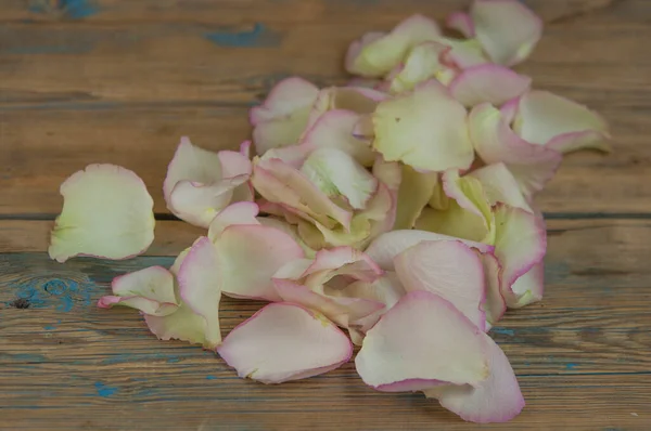 Пелюстки Троянд Білому Дерев Яному Фоні — стокове фото