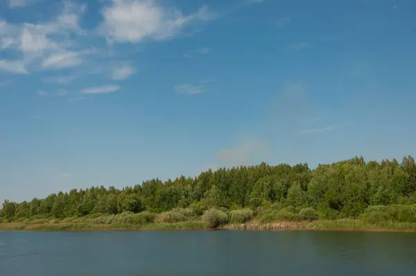 Blaues Wasser Einem Waldsee Mit Kiefern — Stockfoto