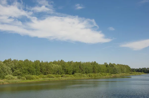 Blått Vatten Skogssjö Med Tallar — Stockfoto