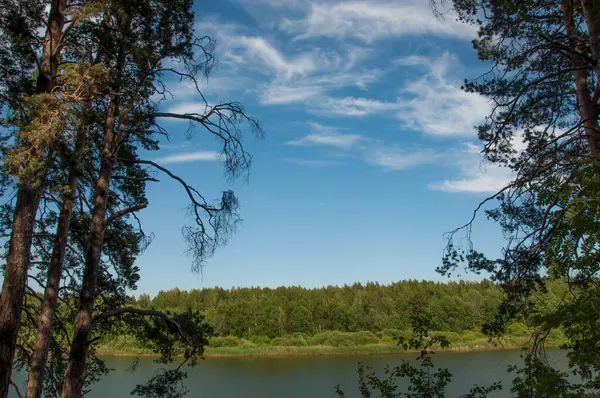 Blaues Wasser Einem Waldsee Mit Kiefern — Stockfoto