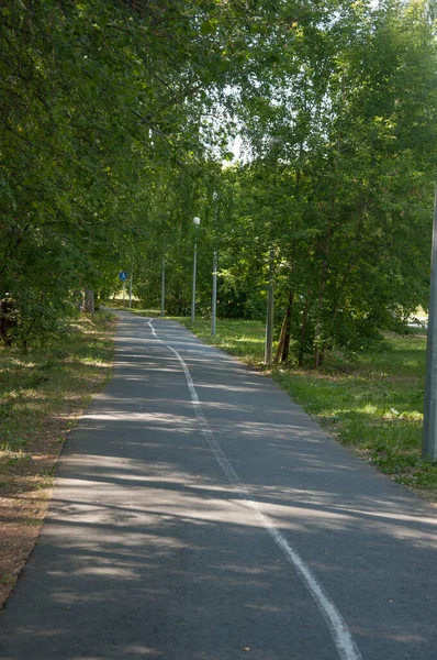 Yaz Ormanında Bisiklet Koşu Yolu Kaldırımda Beyaz Yol Işaretleri — Stok fotoğraf