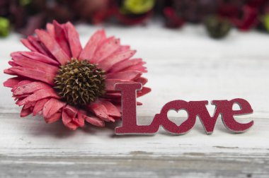 Kırsal ve grunge doğa geçmişi. Renkli aromalı kırmızı aşk metni. Kurumuş çiçekler ve beyaz ahşap masa yaprakları..