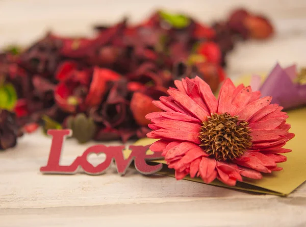 Rustieke Grunge Natuur Achtergrond Rood Van Plastic Liefdestekst Met Kleurrijke — Stockfoto