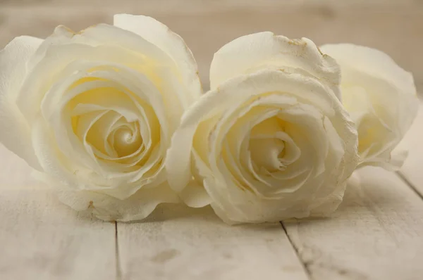 Ramo Rosas Boda Blancas Sobre Fondo Madera Con Pétalos Florales —  Fotos de Stock