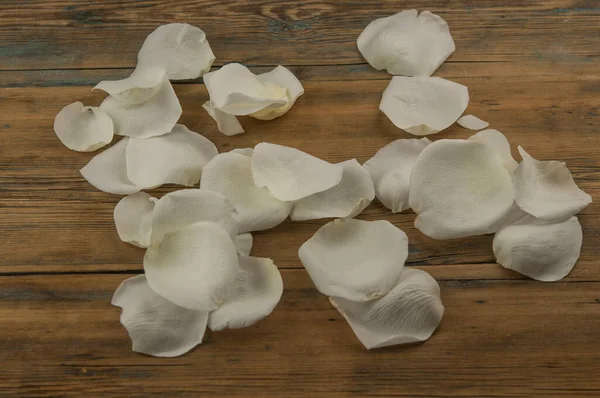 Kahverengi Ahşap Masada Beyaz Gül Yaprakları Romantik Bir Randevu Doğum — Stok fotoğraf