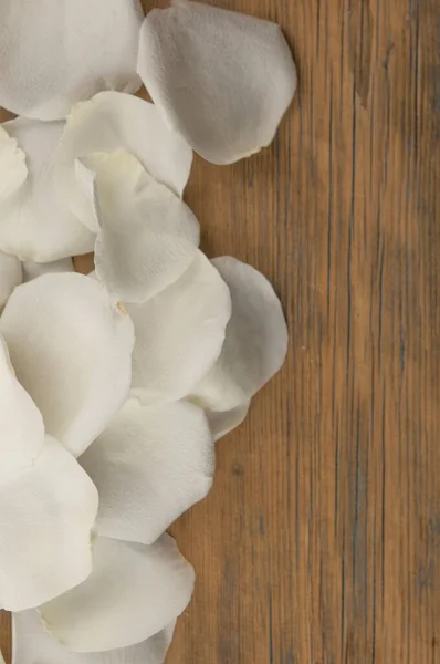 Witte Rozenblaadjes Donkere Houten Tafel Romantisch Afspraakje Verjaardag Bruiloft Vakantie — Stockfoto