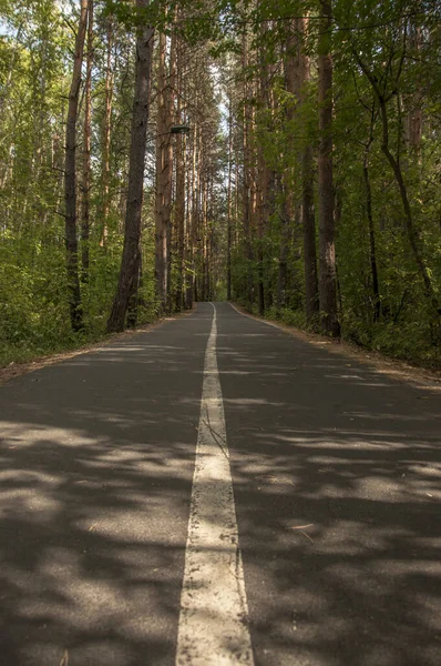 Yaz Günü Üzerinde Işaretler Olan Asfalt Bir Yol Ormandan Geçer — Stok fotoğraf