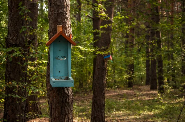 Alimentatori Uccelli Nel Parco Cittadino — Foto Stock