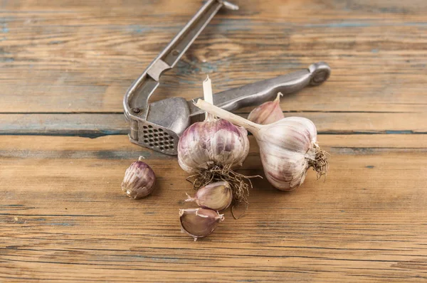 Organic Garlic Metal Press Fresh Garlic Cloves Garlic Bulb Wooden — Stock Photo, Image