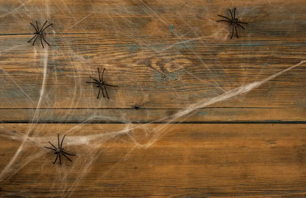 Wooden Background Covered Spider Webs Black Spiders Copy Space Halloween — Stock Photo, Image