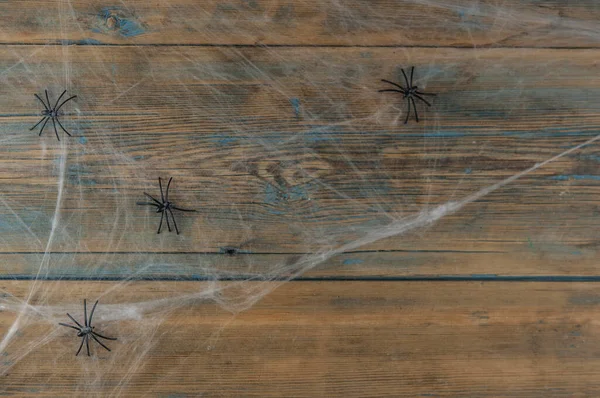 Wooden Background Covered Spider Webs Black Spiders Copy Space Halloween — Stock Photo, Image
