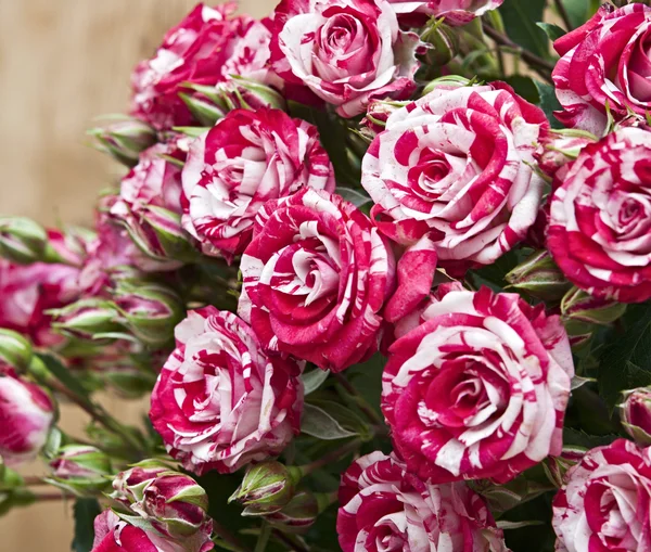 Ramo de rosas sobre mesa de madera —  Fotos de Stock