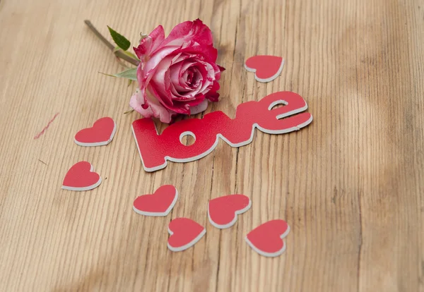 Rot-weiße Rose und verstreute Blütenblätter und das Wort Liebe auf — Stockfoto