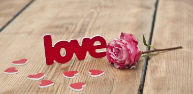 red-white rose and scattered flower petals and the word love on  clipart