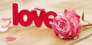 üzerinde kırmızı-beyaz gül ve dağınık çiçek yaprakları ve kelime aşk 